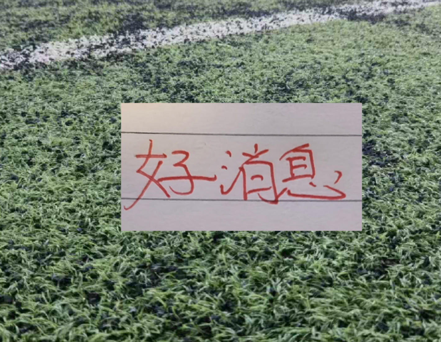 哈兰德社媒晒与全场最佳奖杯合照:有些时刻无法用言语形容